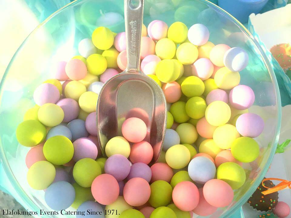 ELAFOKINIGOS CATERING SERVICES